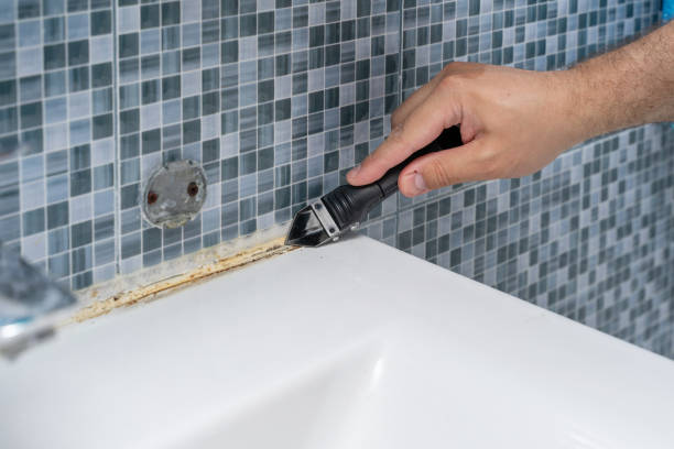 Best Mold Damage Repair  in Orchard Mesa, CO