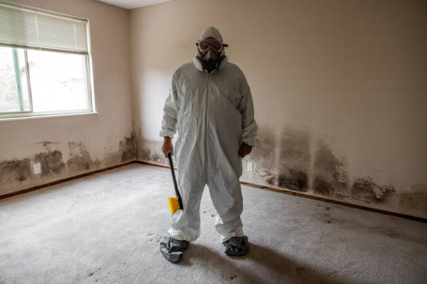Best Residential Mold Removal  in Orchard Mesa, CO